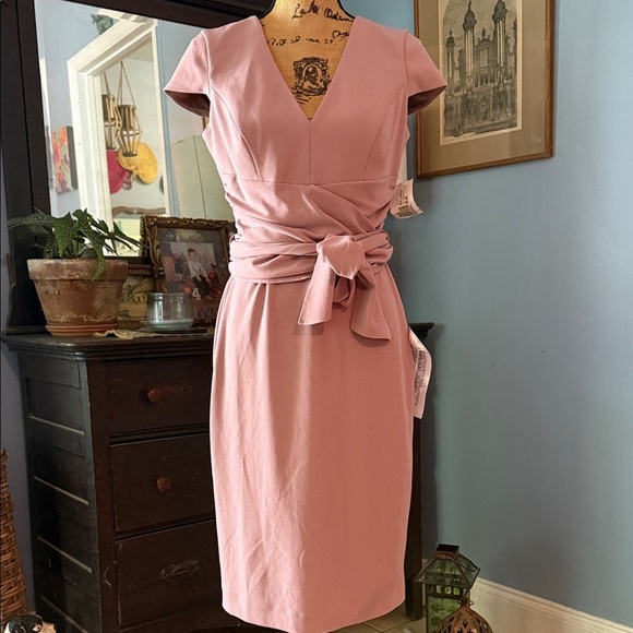 Dress the Population “Dana” Shirred Waist Dress in Light Mauve Size Medium NWT - Picture 6 of 16